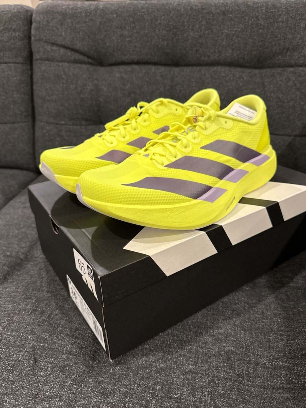 Adidas Adizero Evo SL Running Shoes Solar Yellow / Plum - 10M